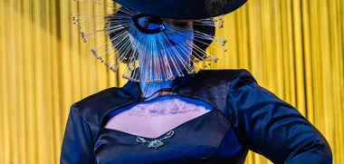 Die Fledermaus