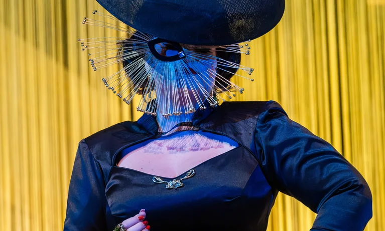 Die Fledermaus