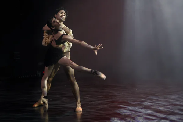 MIMESIS by Francesco Barbuto // Camilla Chiesi, Evandro Bossle