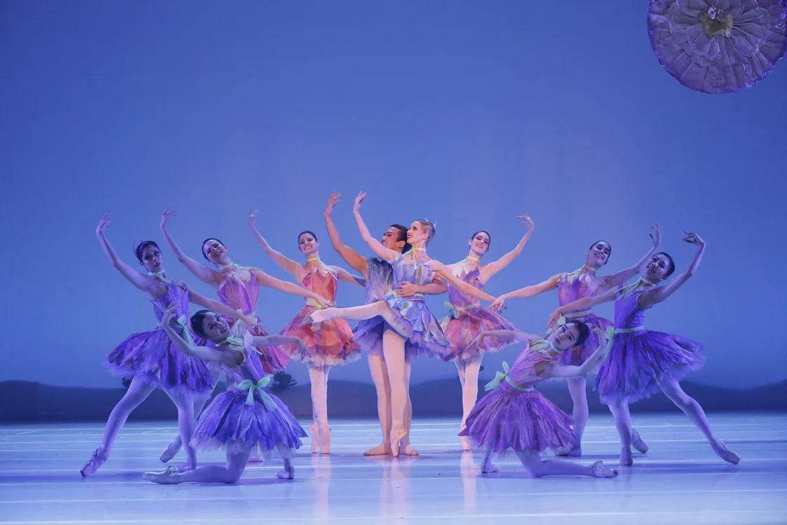 Der Nussknacker © Ida Zenna